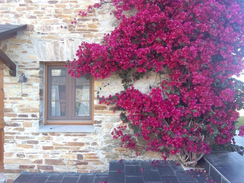 Lomba Casa Crisantaヴィラ エクステリア 写真