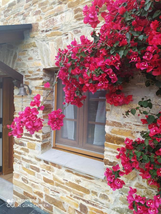 Lomba Casa Crisantaヴィラ エクステリア 写真
